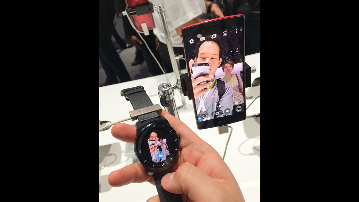 12-Article-Wallace CES 2015-S5
