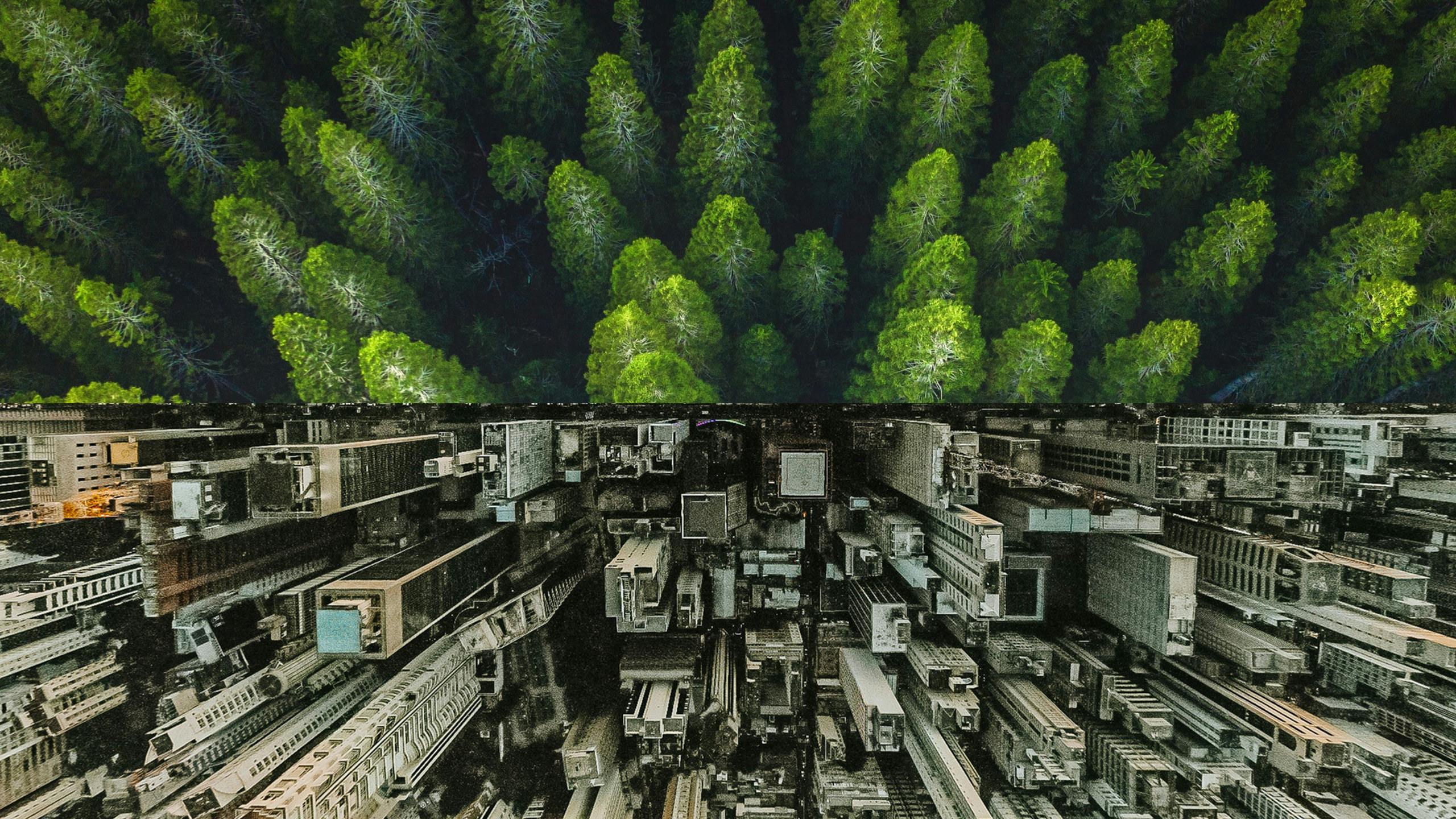City Landscape Next To Forest - Consumer Product Design & Development